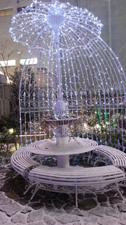 20121223_182649.jpg