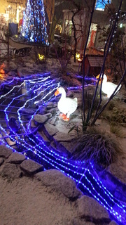 20121223_182654.jpg